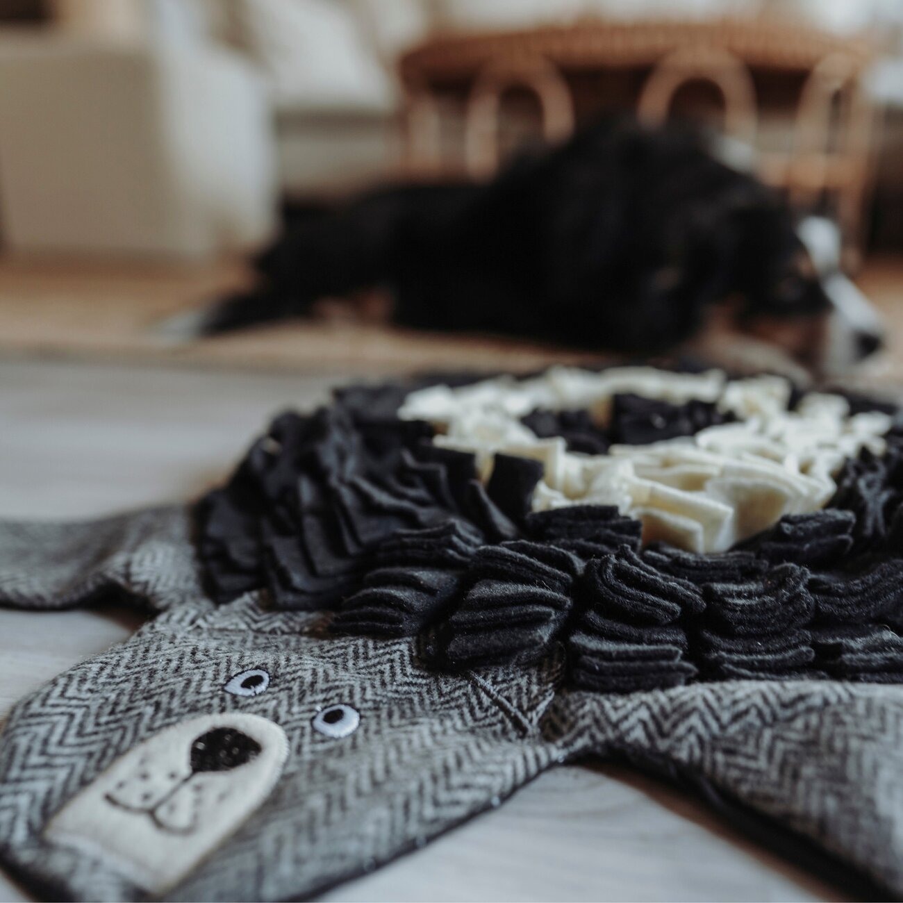 Schnüffelteppich Billund für Hunde Bild 4