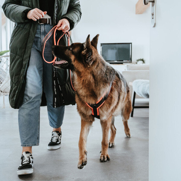 Sicherheitsgeschirr Maldon Bild 5