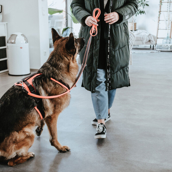 Sicherheitsgeschirr Maldon Bild 7