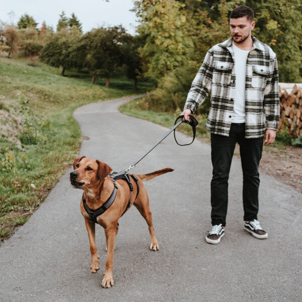 Sicherheitsgeschirr Maldon Bild 19