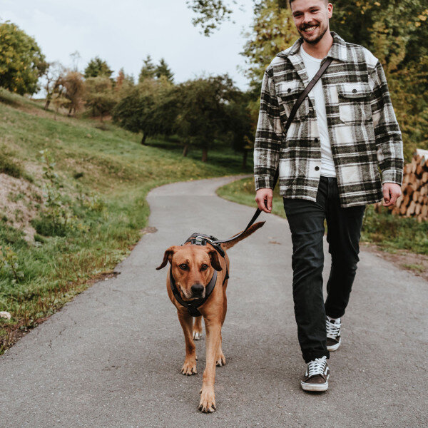 Sicherheitsgeschirr Maldon Bild 21