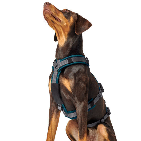 Sicherheitsgeschirr Maldon Bild 29