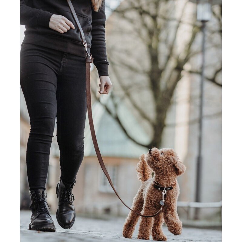 Stufenlos verstellbare Umhängeleine Aalborg Bild 5