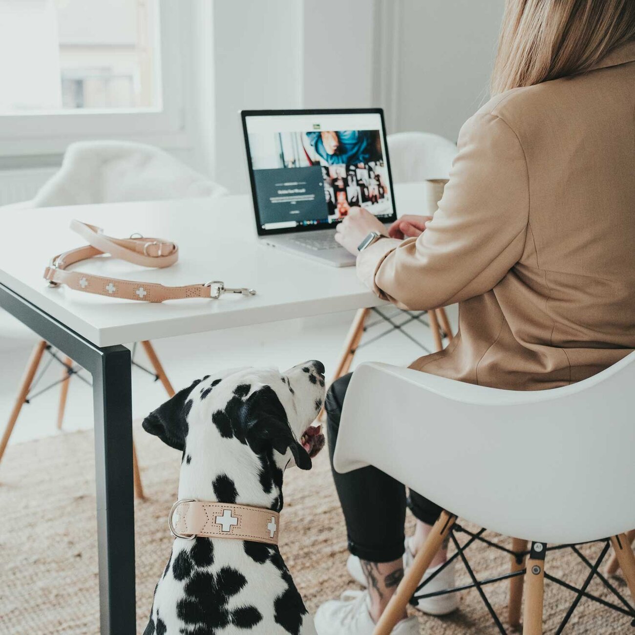 Hunter Swiss Halsband Bild 14