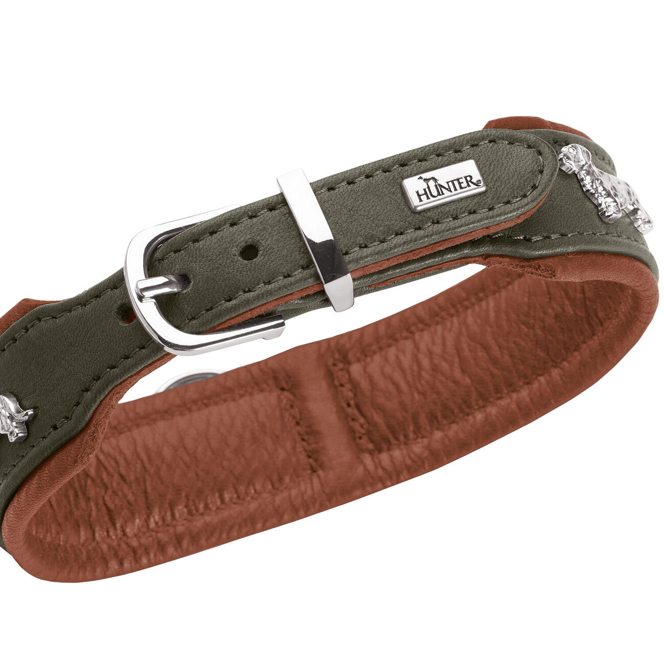 Teckel Halsband München Bild 4