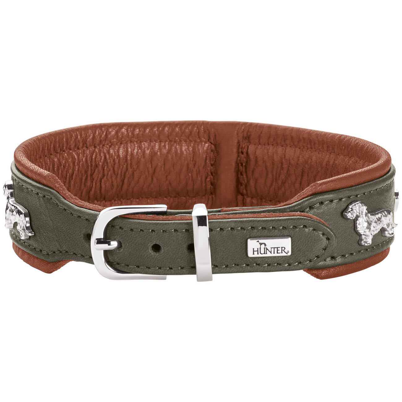 Teckel Halsband München Bild 6