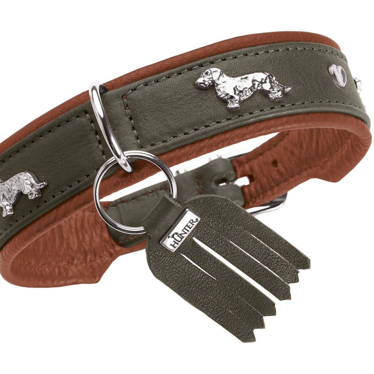 Teckel Halsband München Bild 7