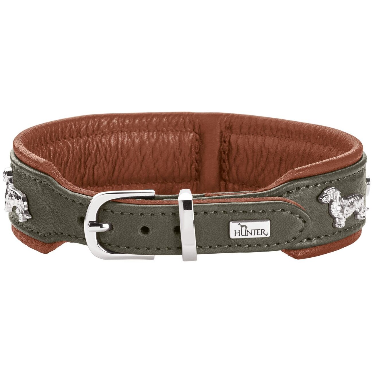 Teckel Halsband München Bild 9