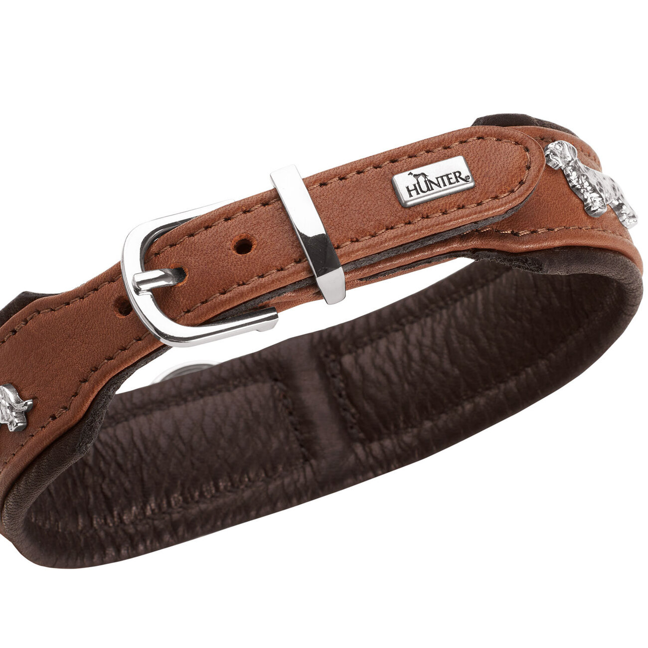 Teckel Halsband München Bild 12