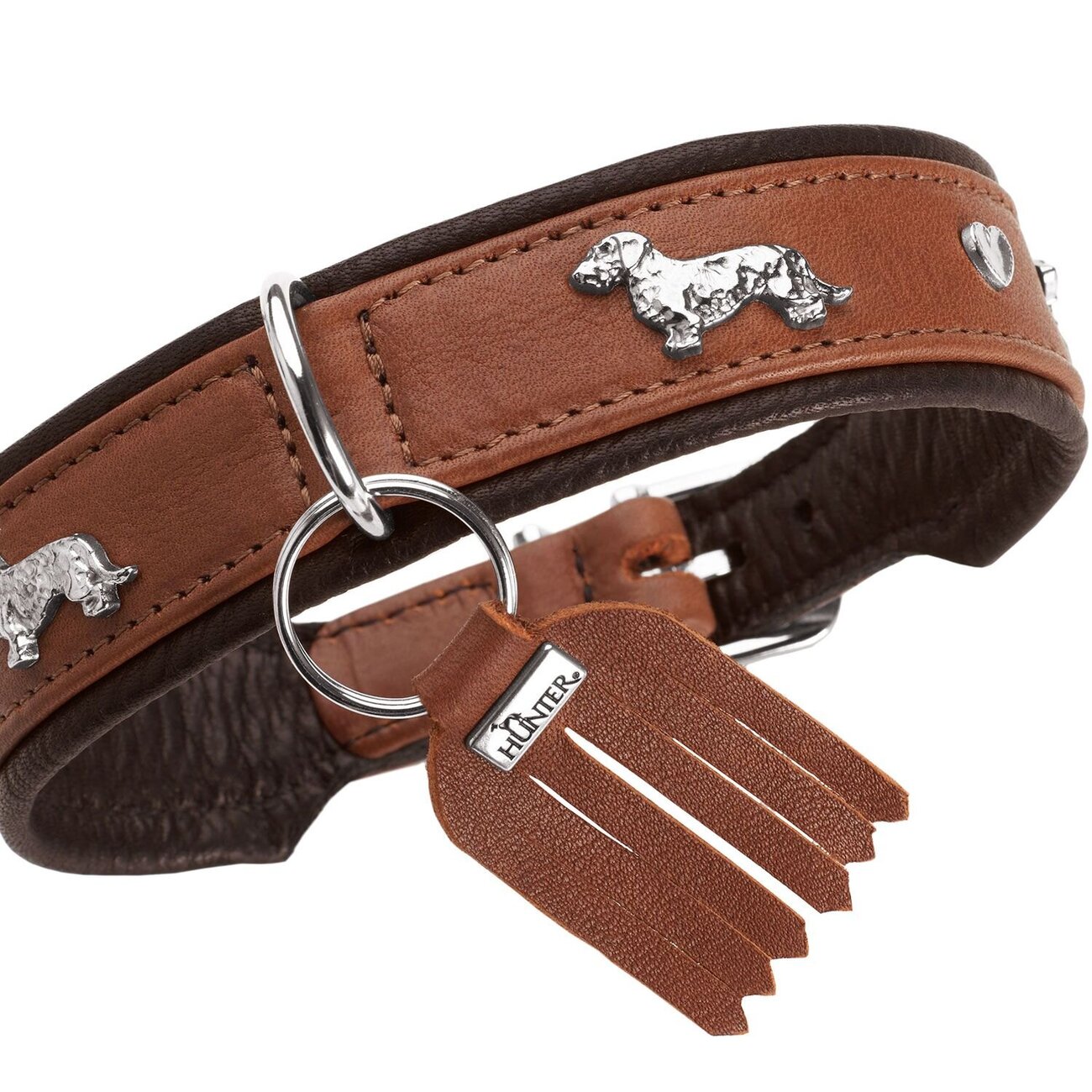 Teckel Halsband München Bild 15