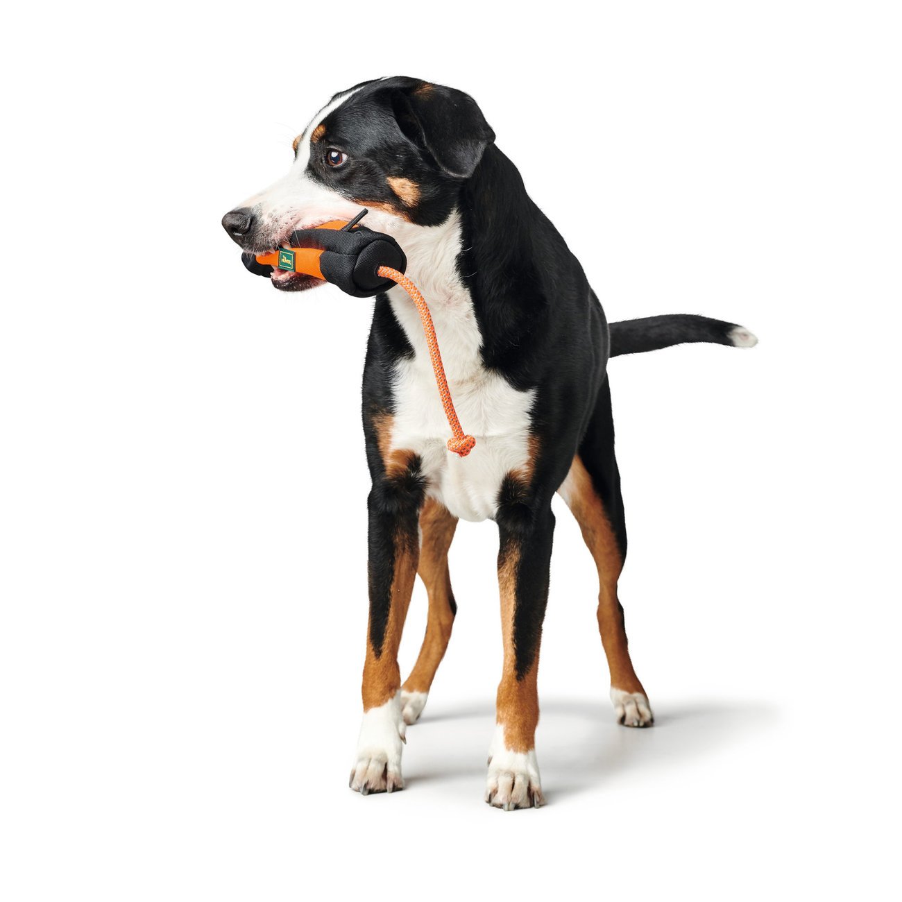 Hunter Trainer Snack Dummy mit Seil Bild 3