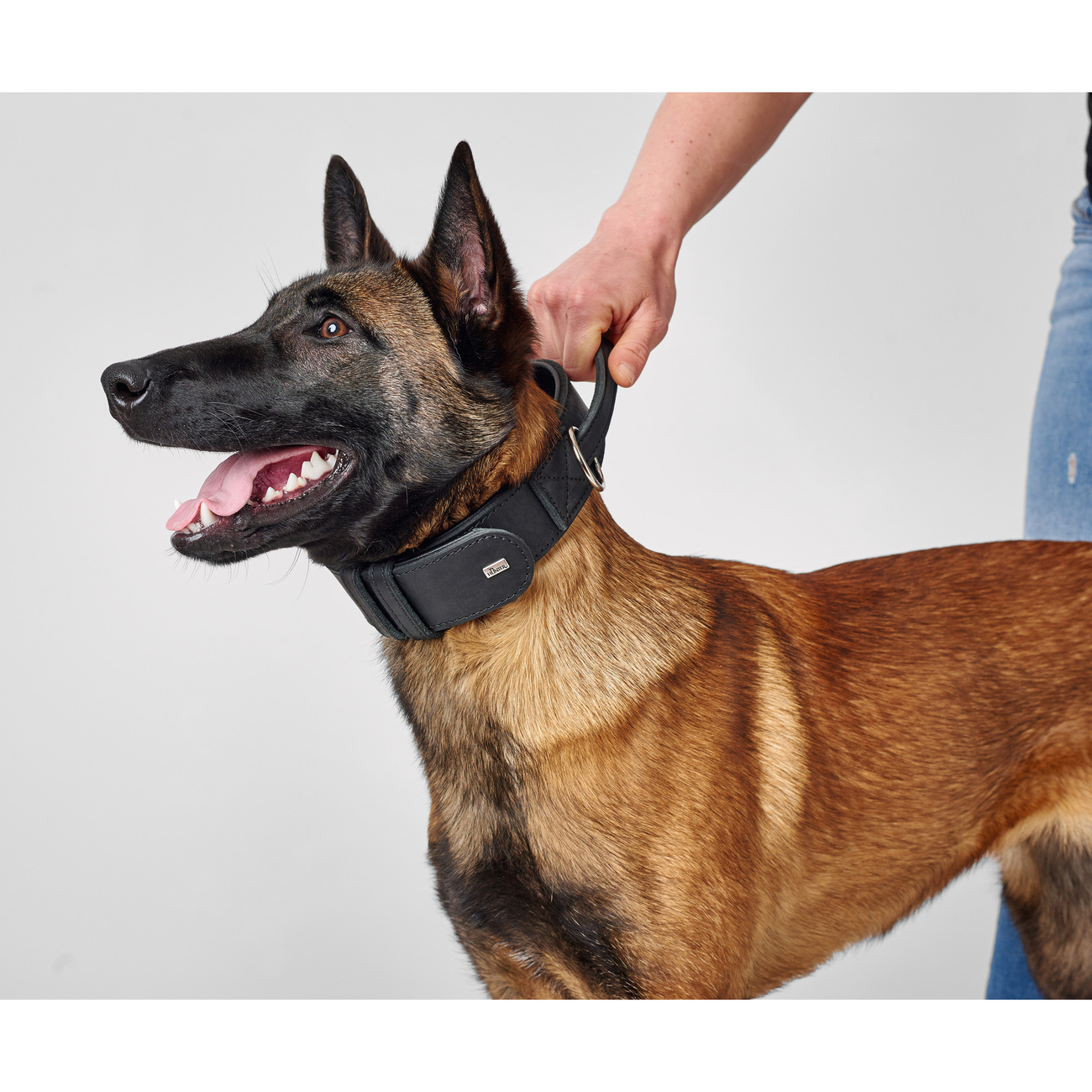 Hunter Trainingshalsband mit Griff Larvik Bild 2