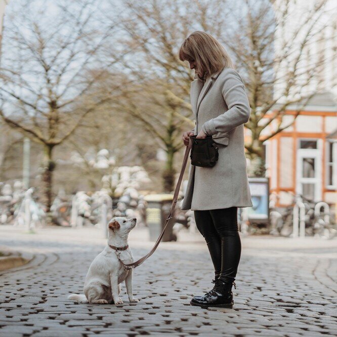 Verstellbare Führleine Inari für Hunde Bild 6