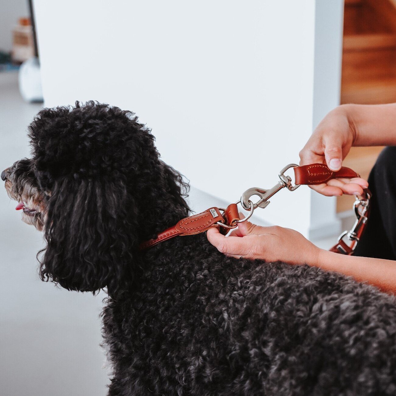 Verstellbare Führleine Round & Soft Canadian Up Bild 4