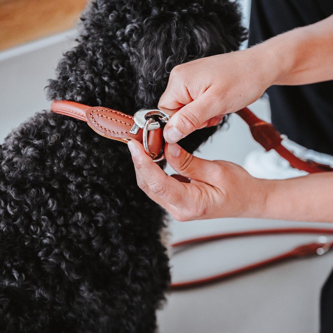 Verstellbare Führleine Round & Soft Canadian Up Bild 6