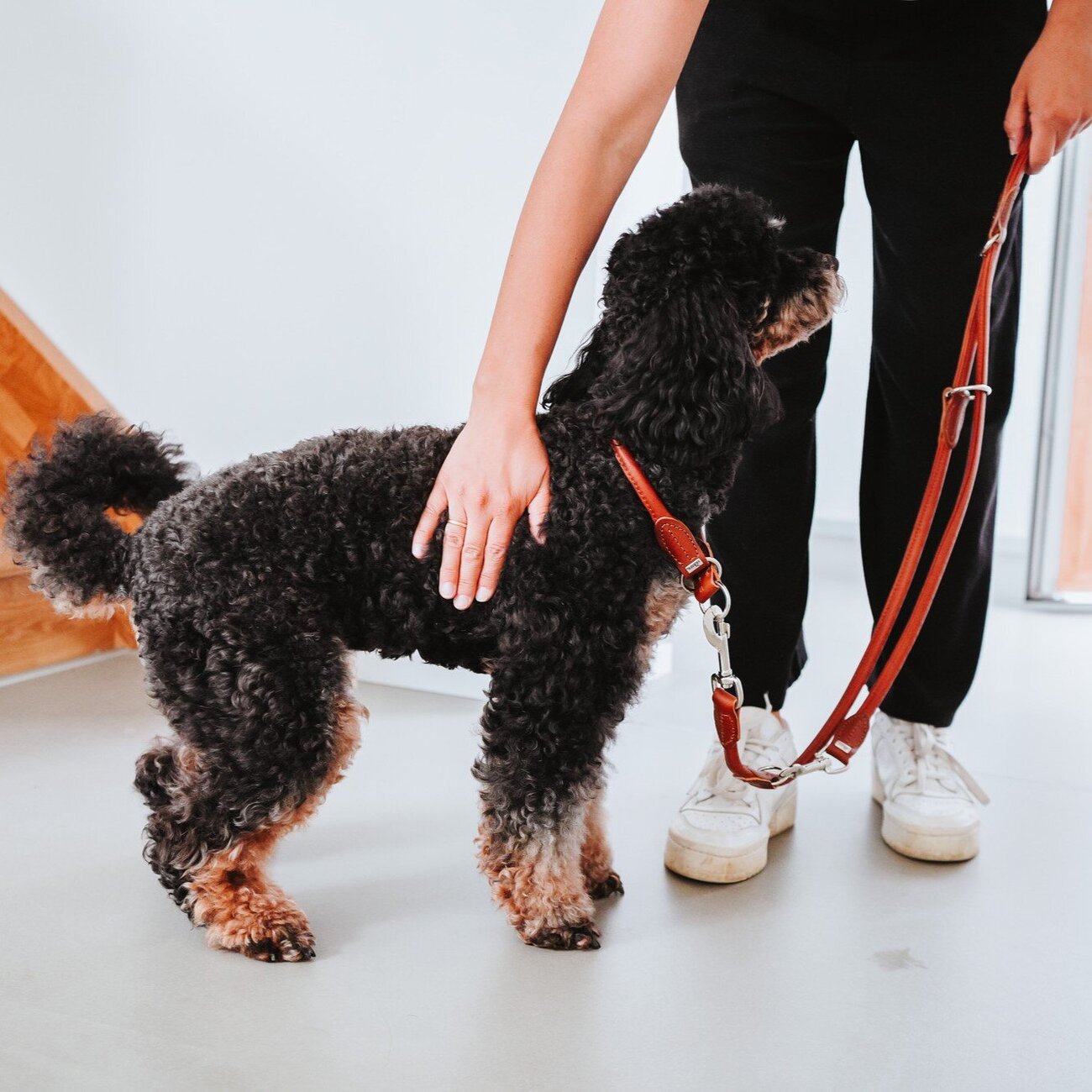 Verstellbare Führleine Round & Soft Canadian Up Bild 2