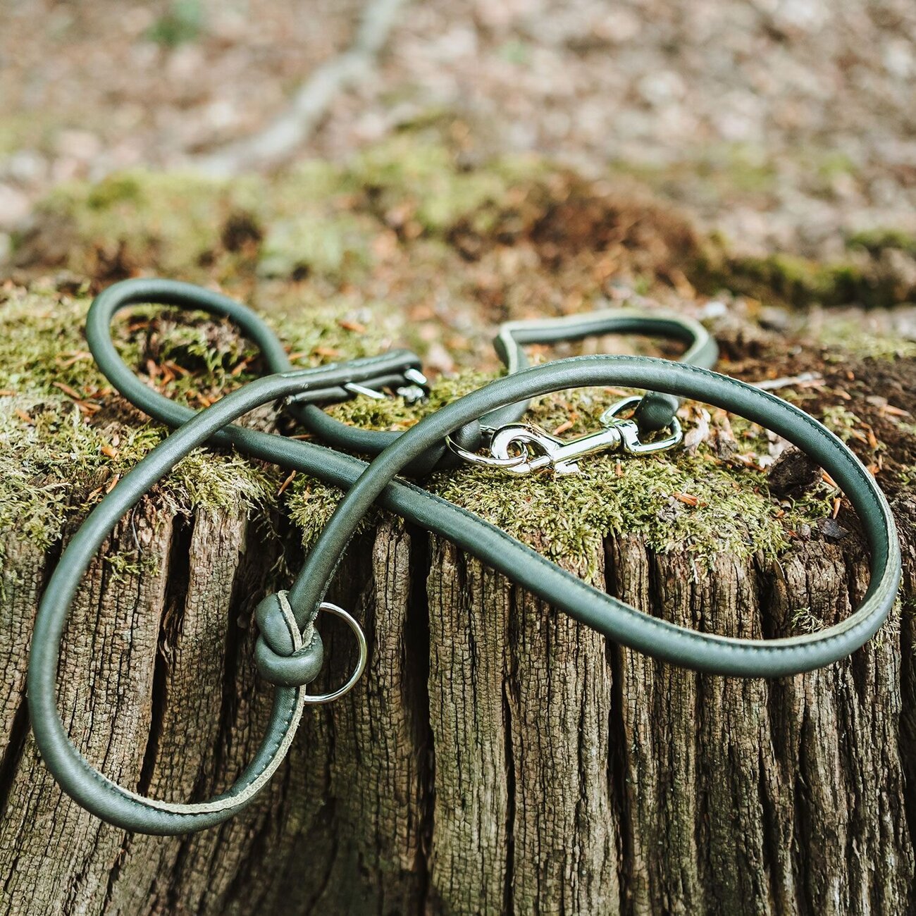 Verstellbare Führleine Round & Soft München Bild 2