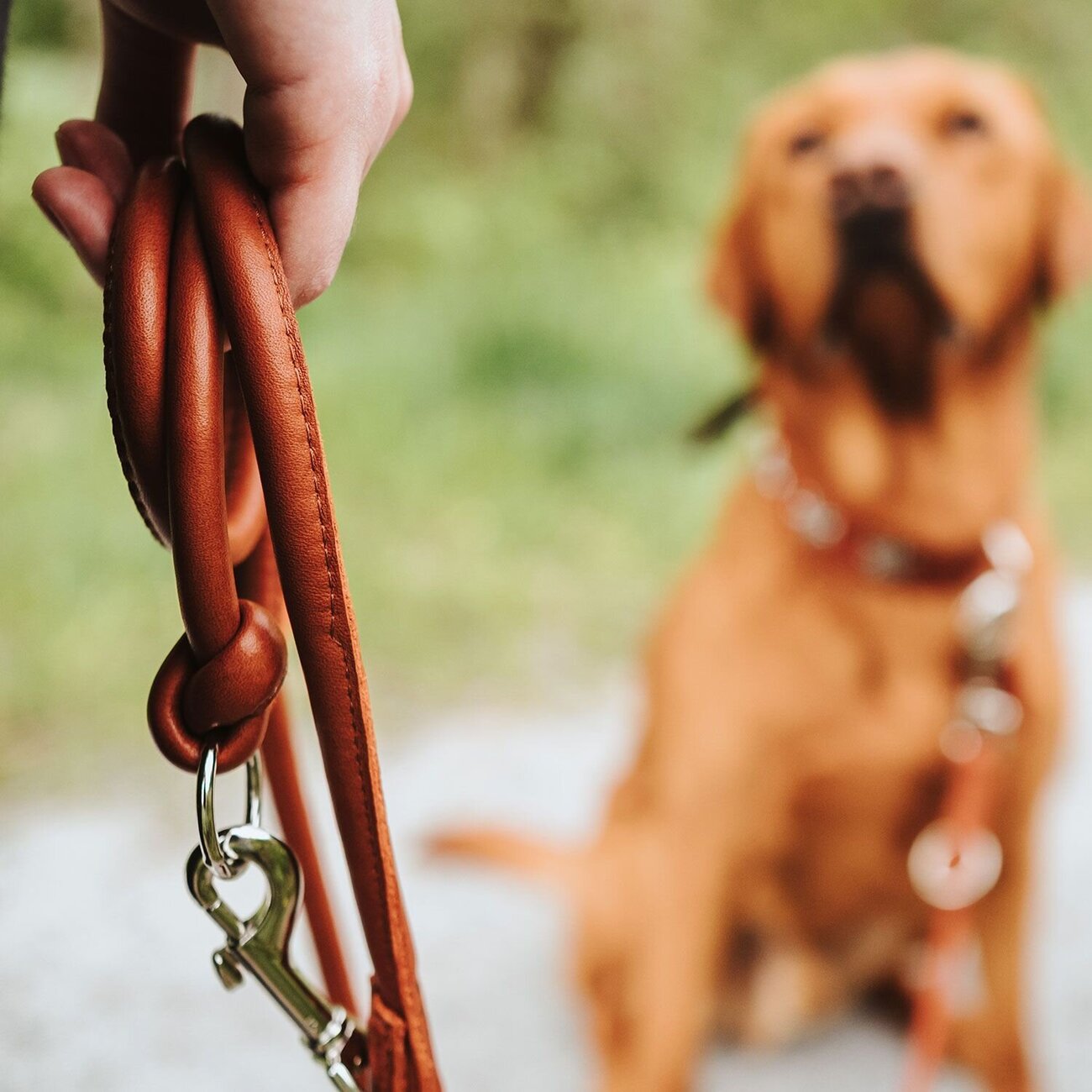 Verstellbare Führleine Round & Soft München Bild 6