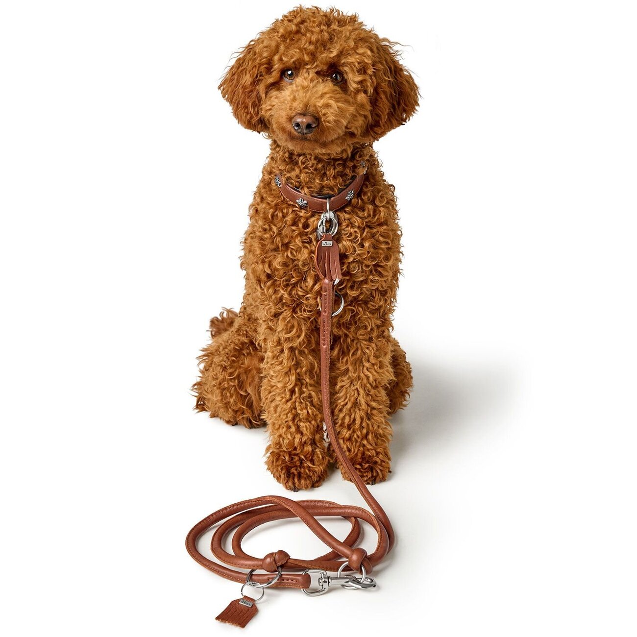 Verstellbare Führleine Round & Soft München Bild 15