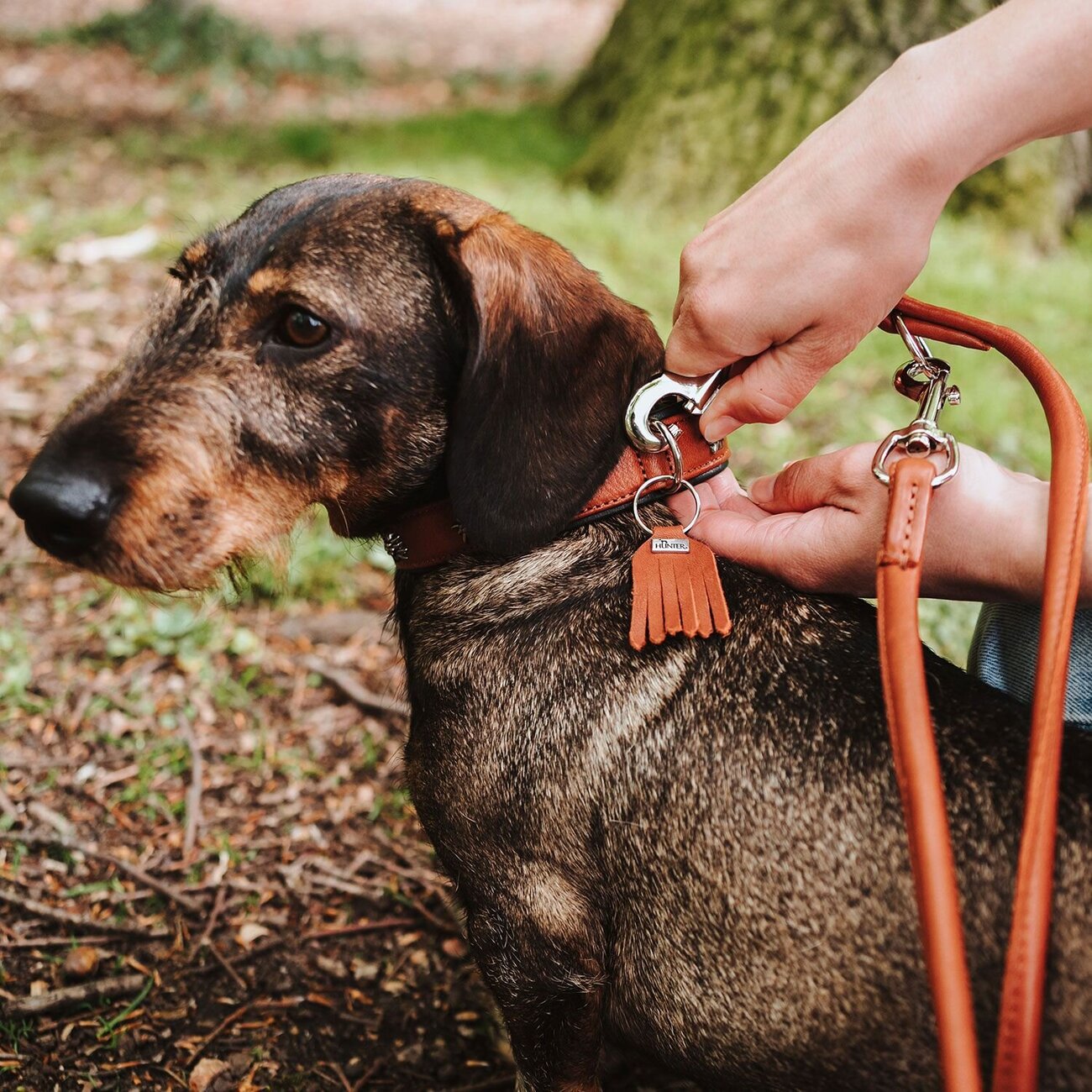 Verstellbare Führleine Round & Soft München Bild 9