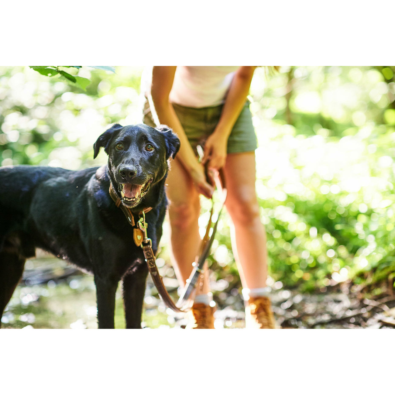 Hunter Verstellbare Führleine Tara Juchtenleder Bild 10