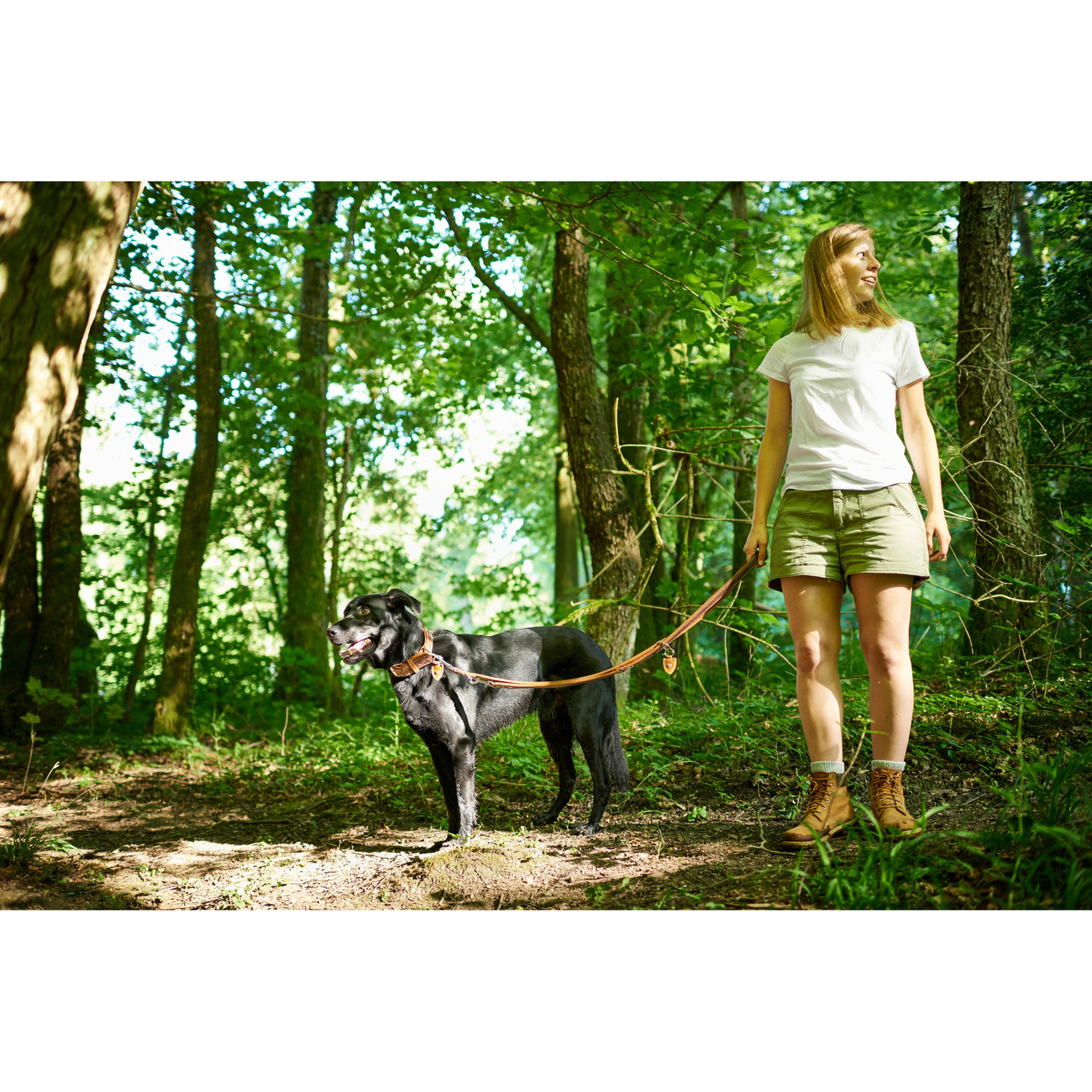 Hunter Verstellbare Führleine Tara Juchtenleder Bild 17