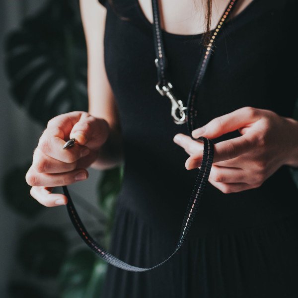 Hunter Verstellbare Führleine Tripoli für kleine Hunde Bild 5