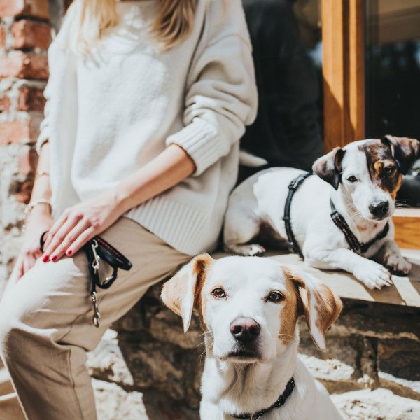 Hunter Verstellbare Führleine Tripoli für kleine Hunde Bild 6