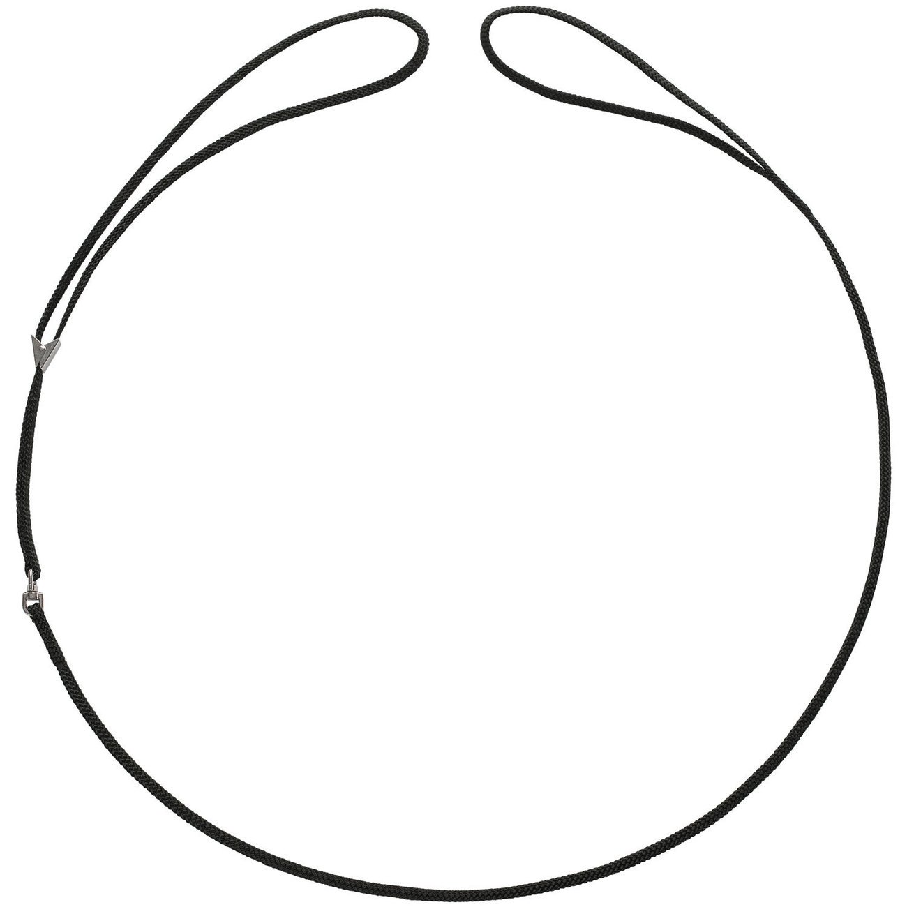 Vorführleine mit integrierter Halsung Bild 1