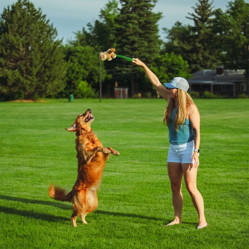 Wurf Hundespielzeug FLINGERZ™ Bild 5