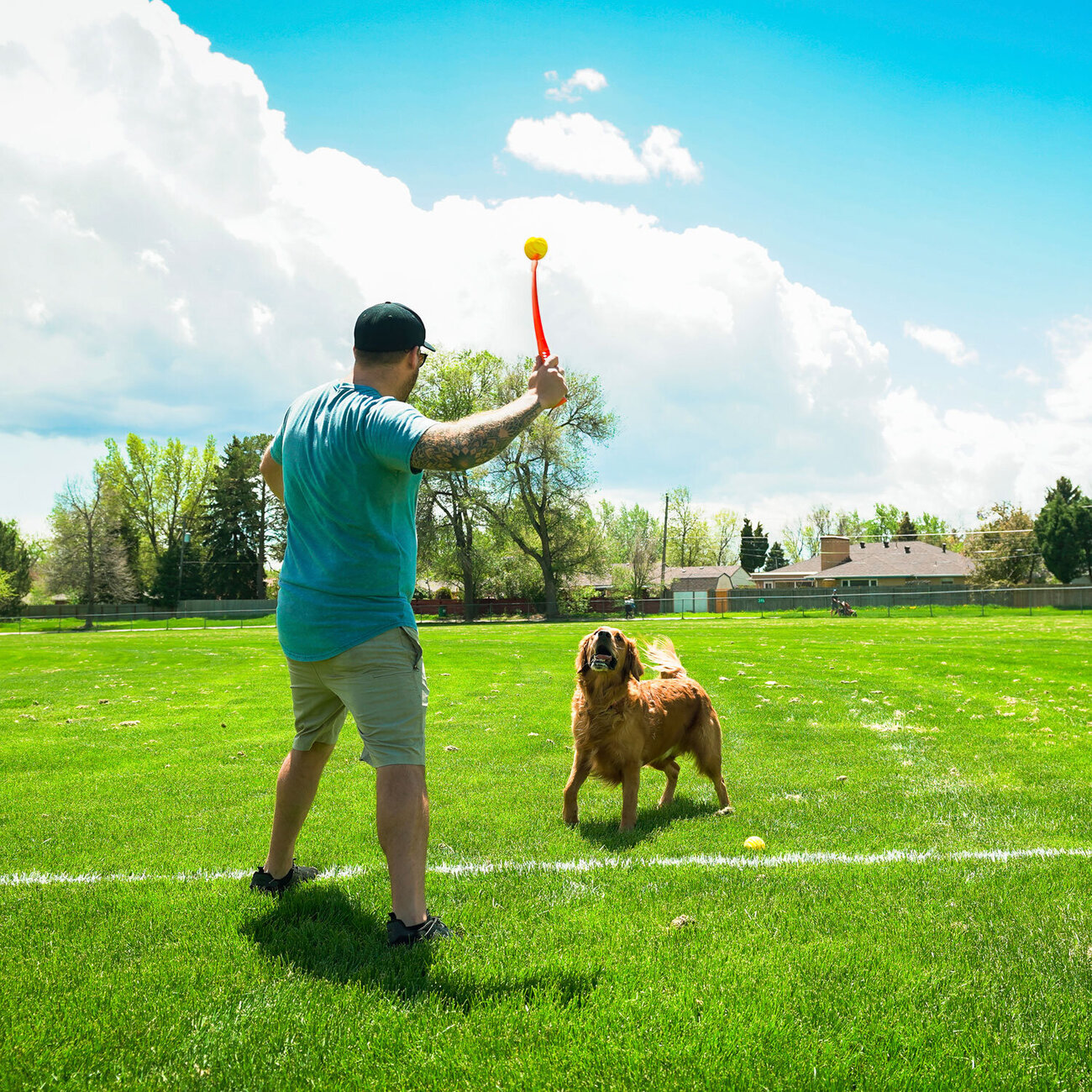 Wurf Hundespielzeug FLINGERZ™ Bild 12