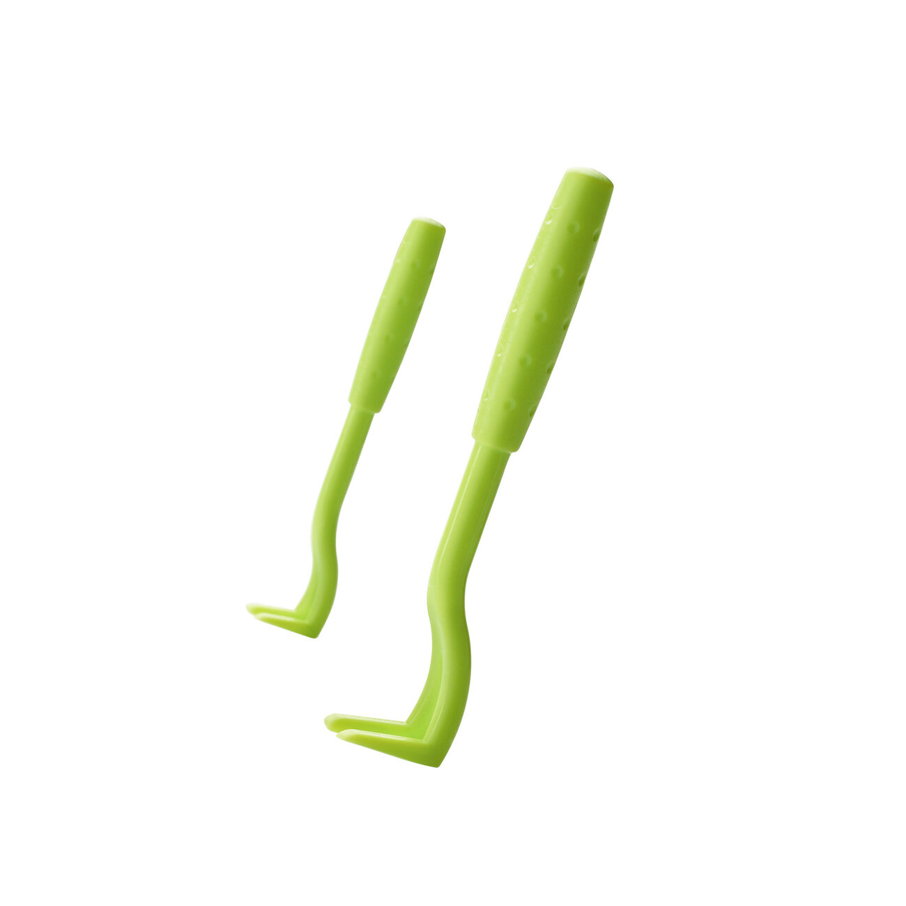 Zeckenhaken Ajka Bild 1