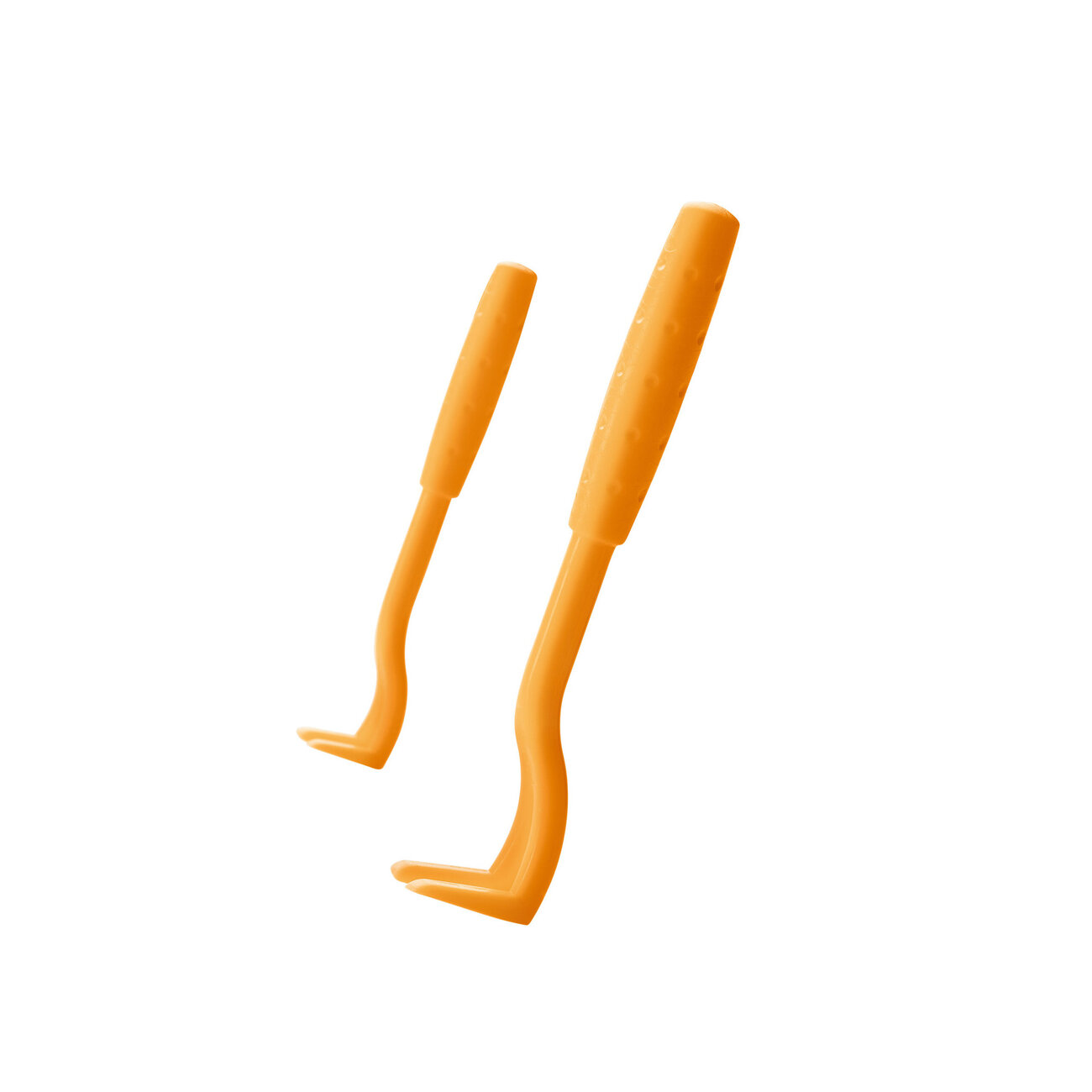 Zeckenhaken Ajka Bild 2