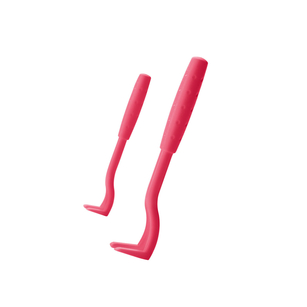 Zeckenhaken Ajka Bild 3