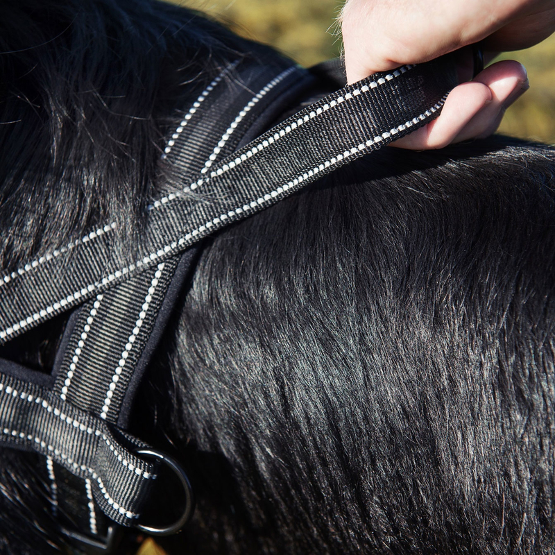 Hurtta Norwegergeschirr gepolstert Bild 8