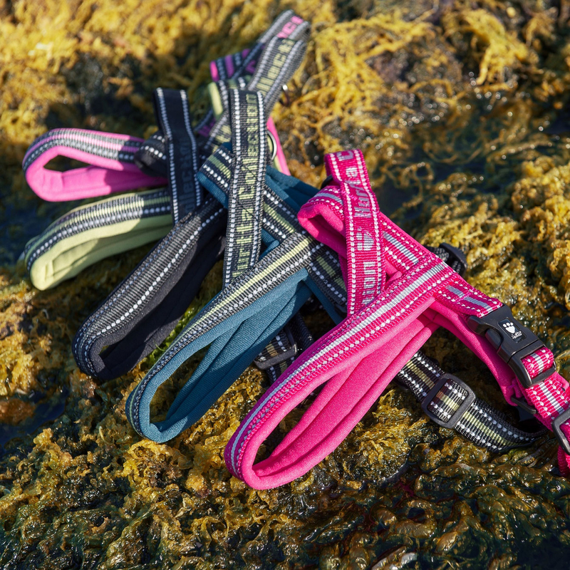 Hurtta Norwegergeschirr gepolstert Bild 9