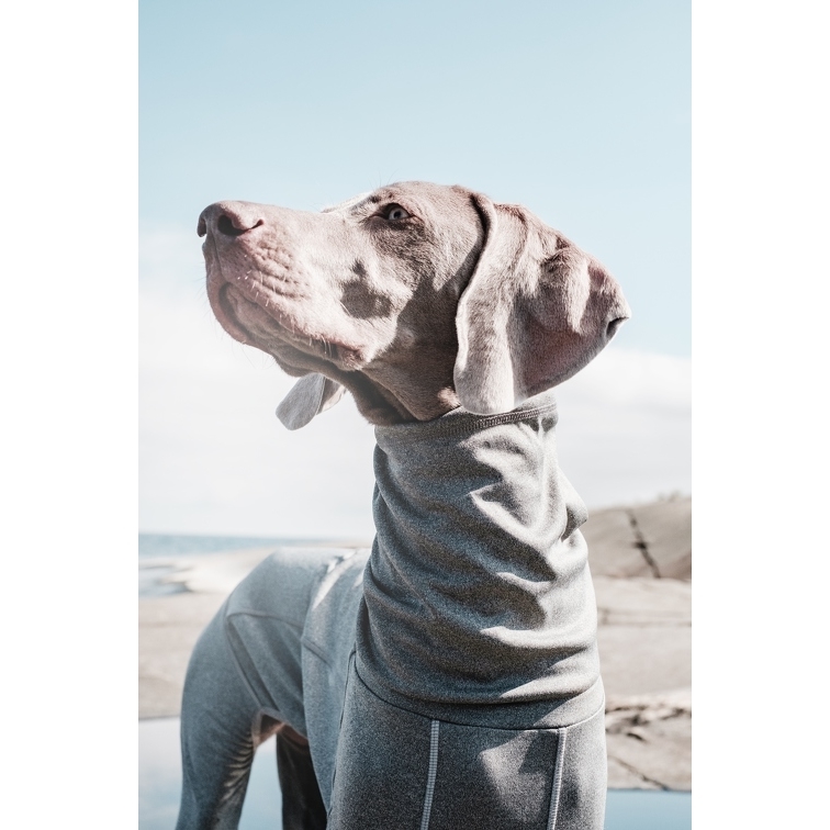 Hurtta Body Warmer Overall für Hunde Bild 3