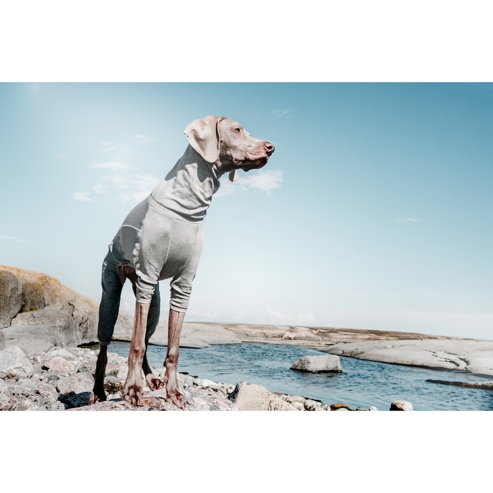 Hurtta Body Warmer Overall für Hunde Bild 2