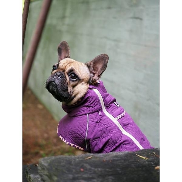 Hurtta Casual Hunde Jacke, gesteppt, für Mops und Bulldoggen Bild 4