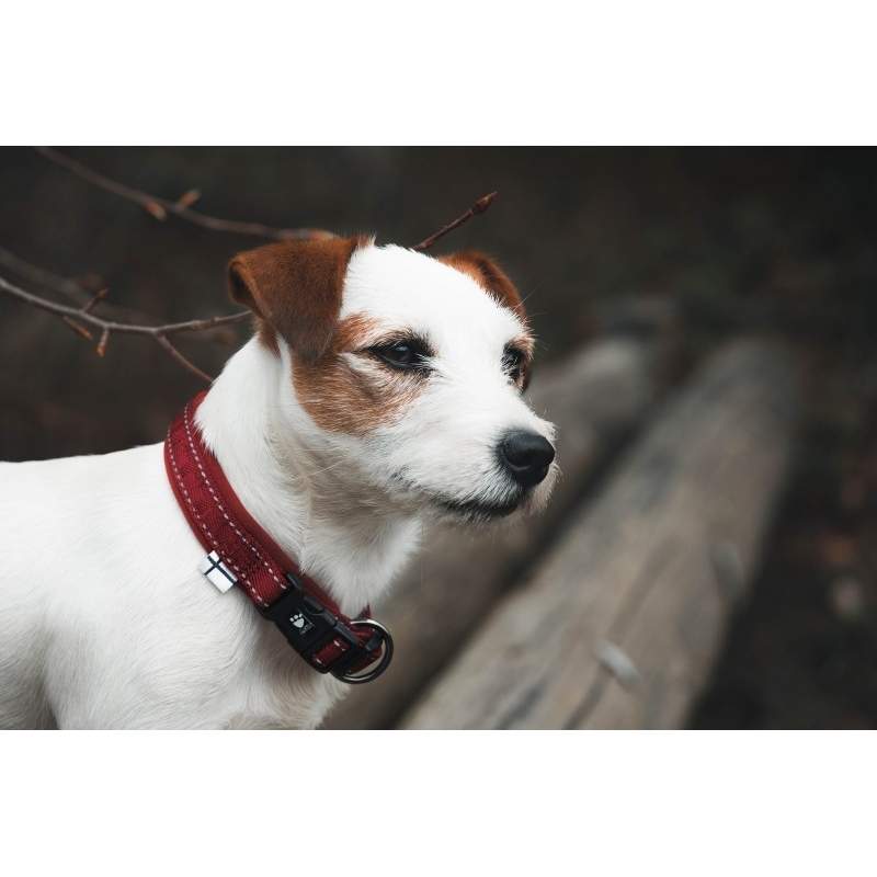 Hurtta Casual Hundehalsband gepolstert Bild 5