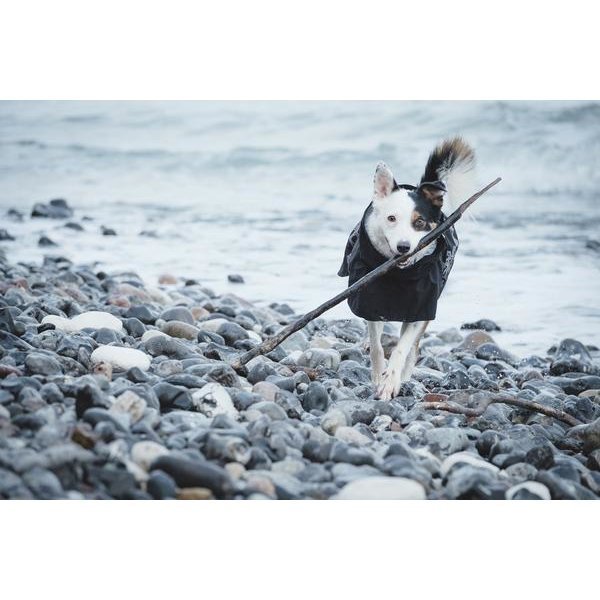 HURTTA Drizzle Regenmantel für Hunde Bild 7