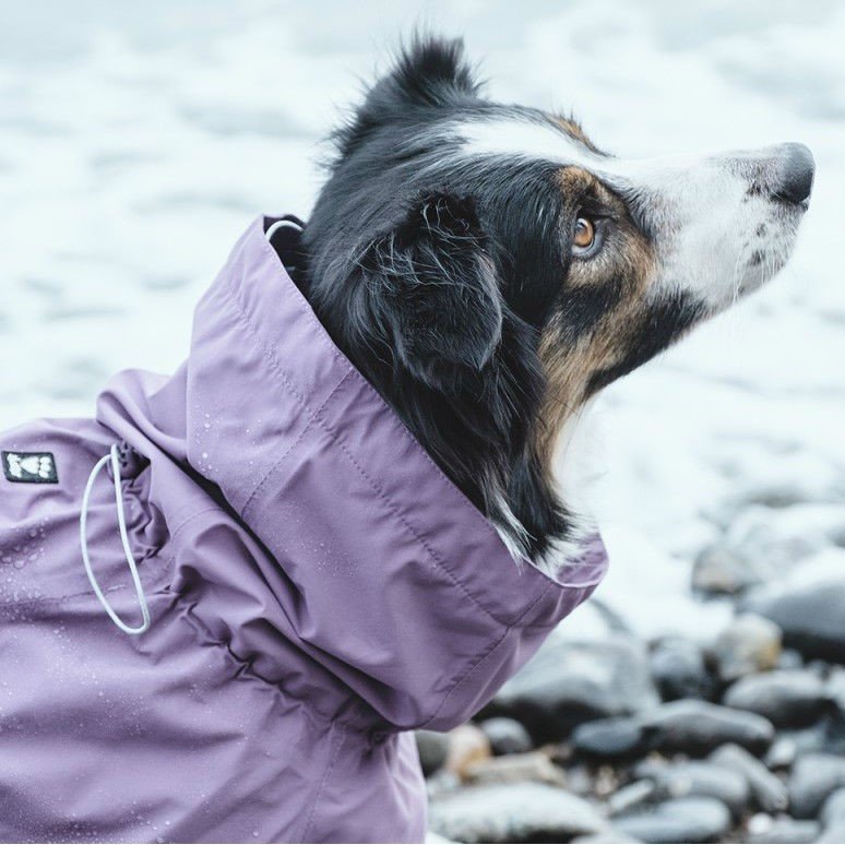 HURTTA Drizzle Regenmantel für Hunde Bild 4