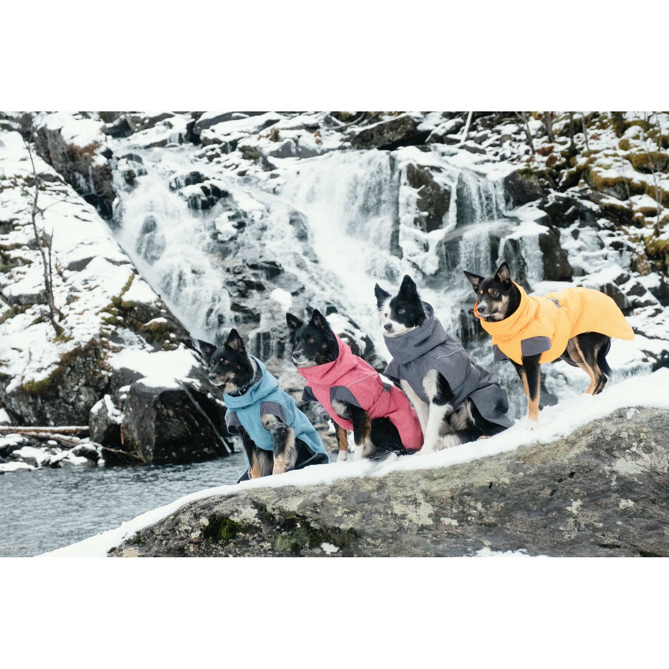 Expedition Wintermantel für Hunde Bild 10