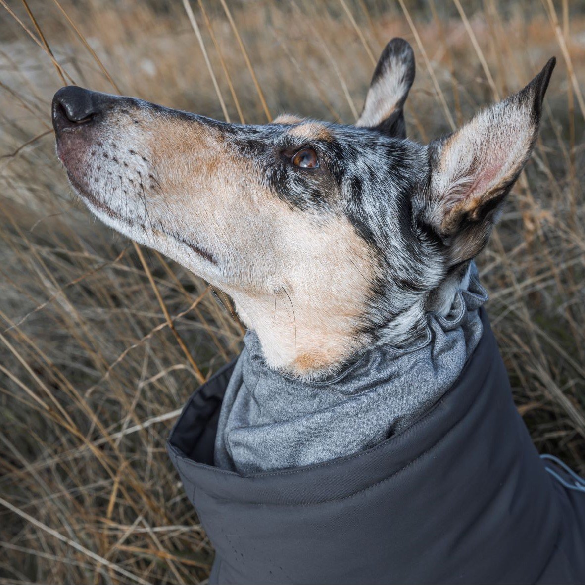 Extreme Overall Wintermantel Bild 4