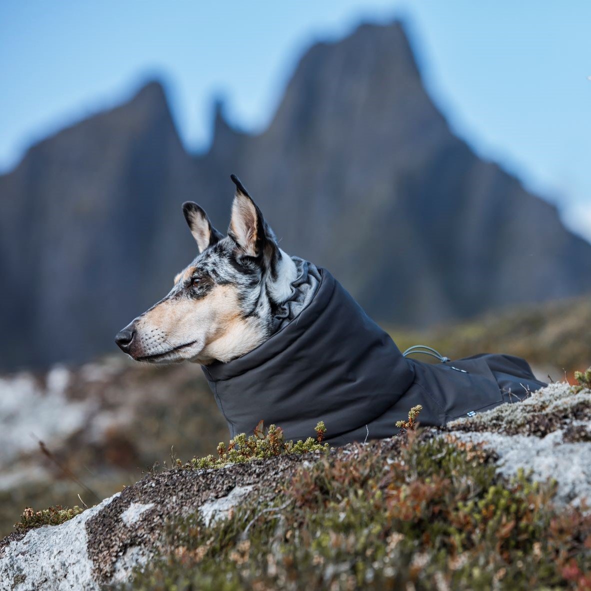 Extreme Overall Wintermantel Bild 5