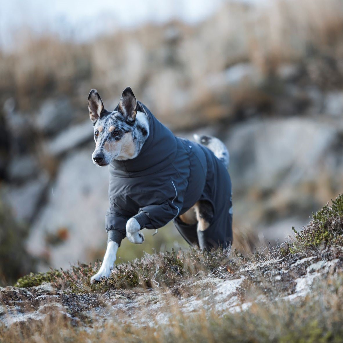 Extreme Overall Wintermantel Bild 2