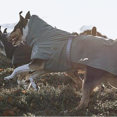 Extreme Warmer ECO V2 Wintermantel Bild 3