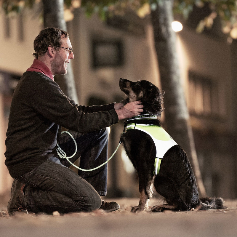 HURTTA Mikro Weste für Hunde Bild 6