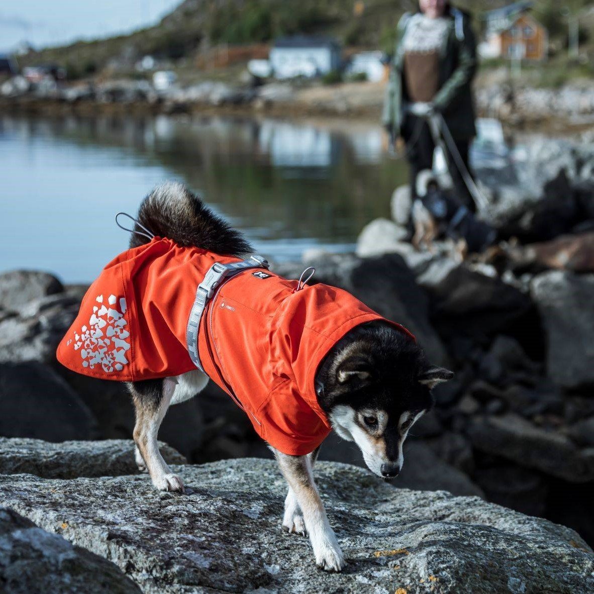 Monsoon ECO Hunde Regenmantel Bild 5
