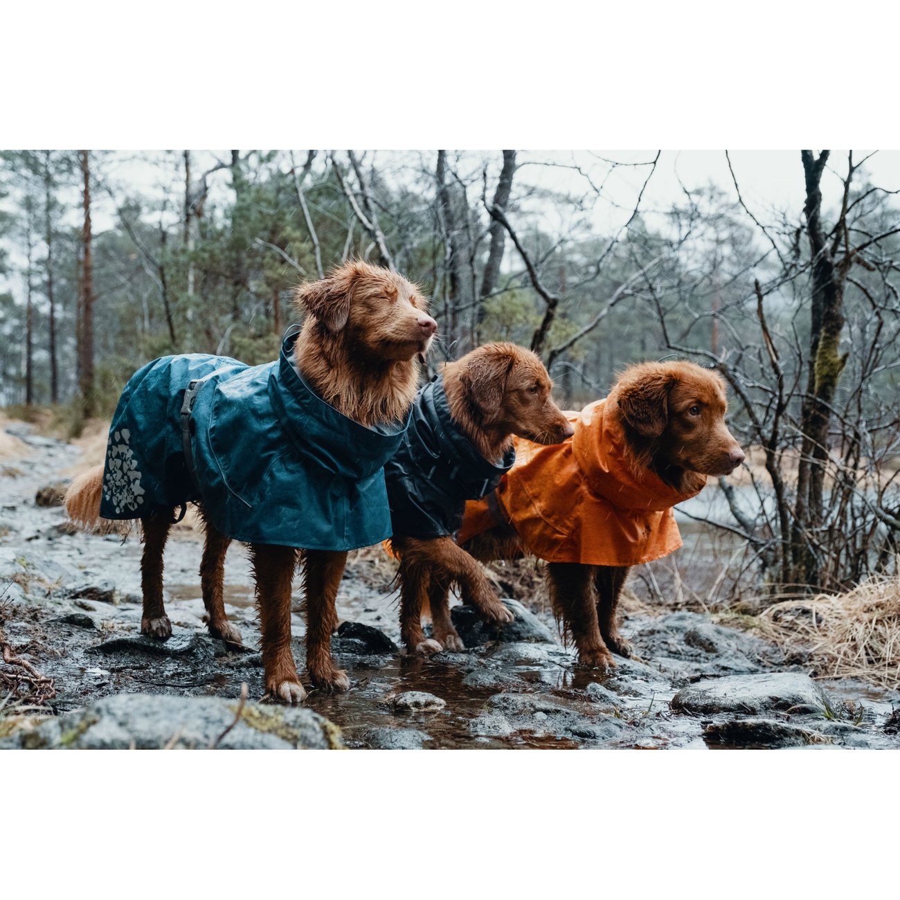 Monsoon Regenmantel Bild 2